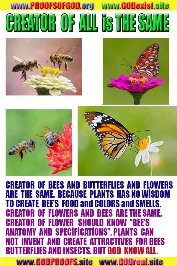 proofs of god, proofs-god, proofs god, evidences of god, evidences-god, god exists, god is real