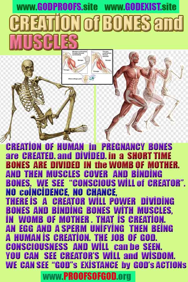 proofs of god, evidences of god, evidences-god, god exists, god is real